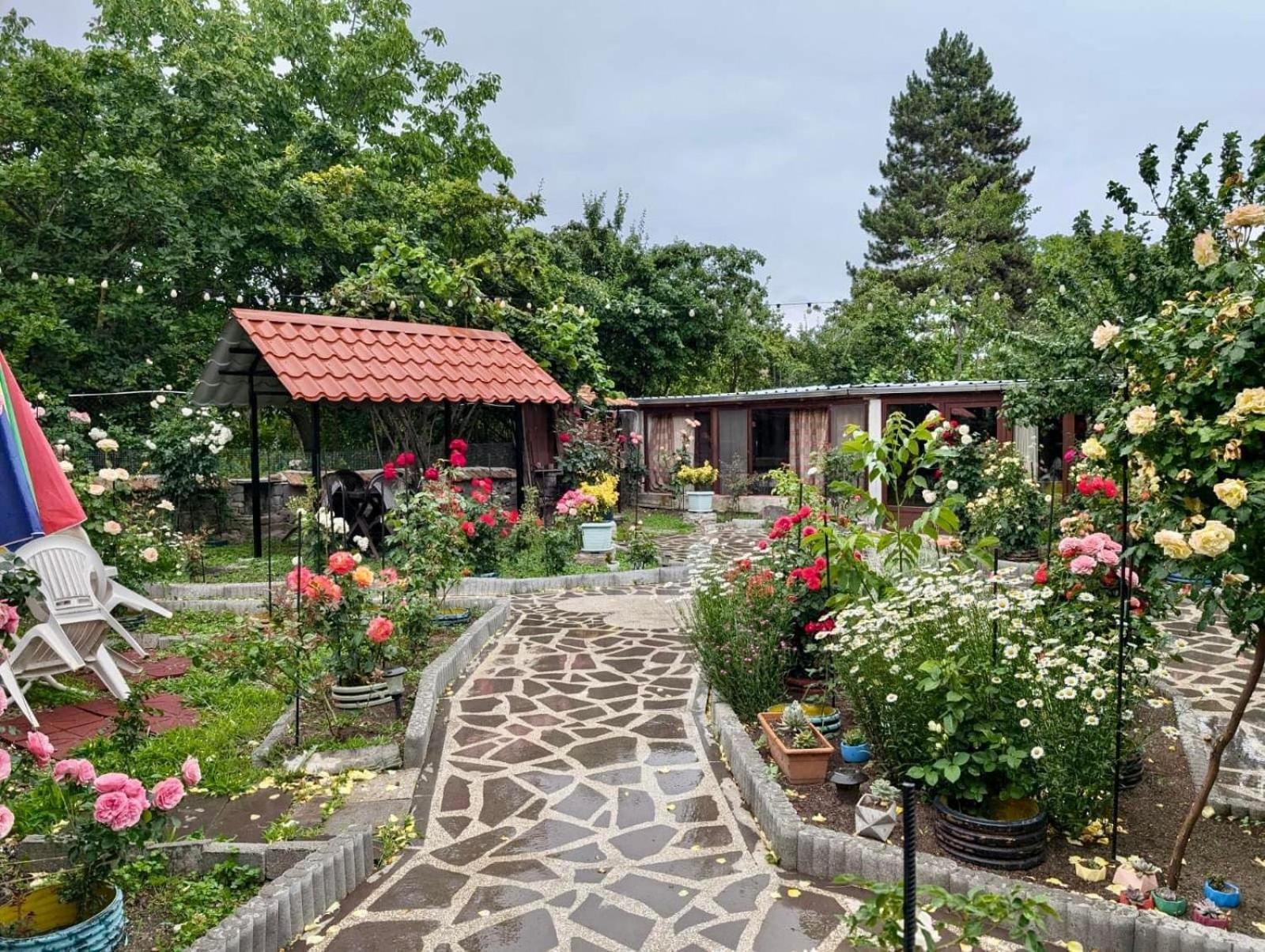 Artist'S House Hotel Tetritskaro Exterior foto